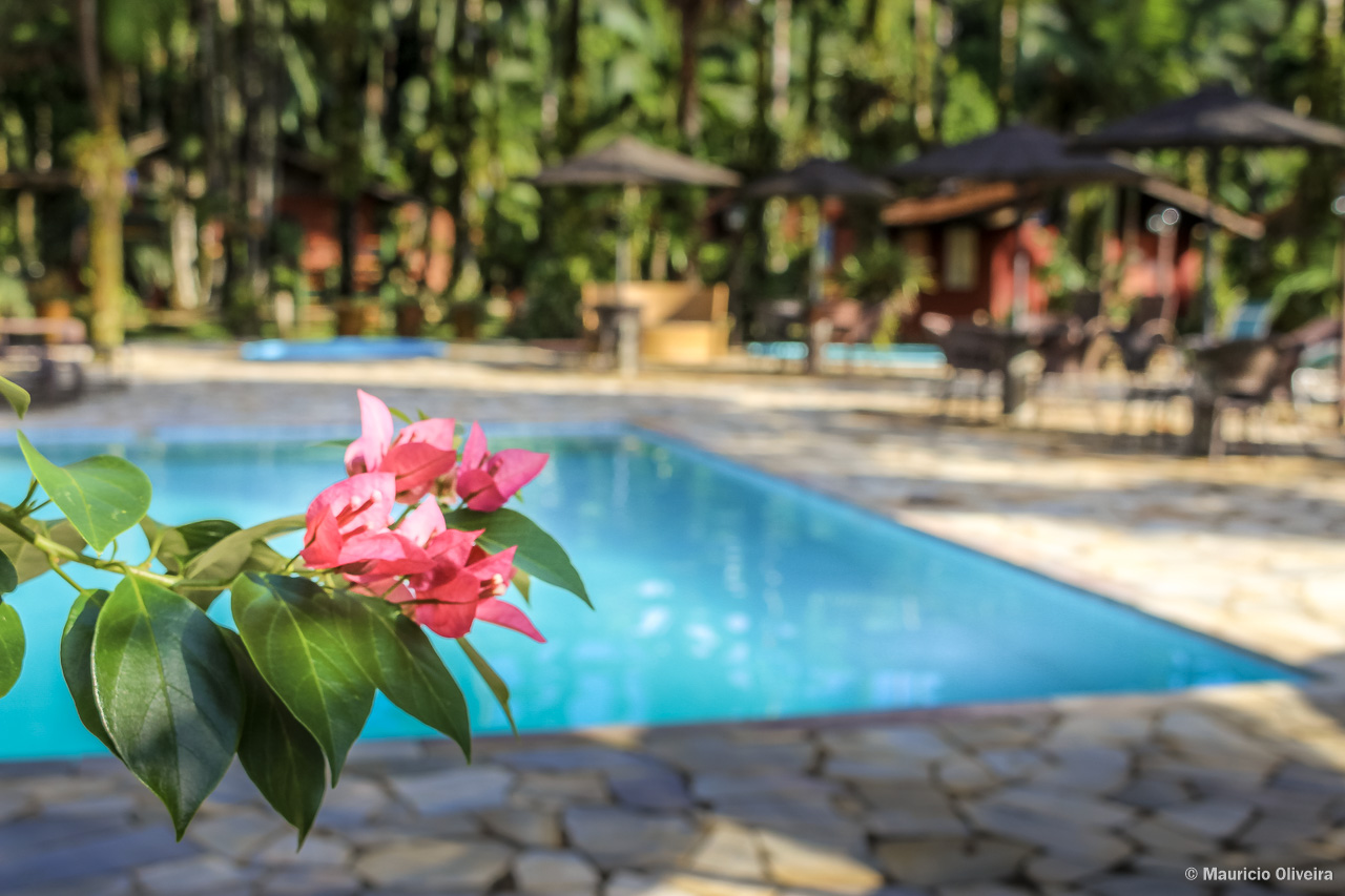 Uma das muitas piscinas da Pousada Hakuna Matata em Morretes