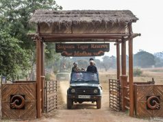 Parque Nacional de Satpura - Experiências selvagens e safári na Índia