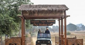 Parque Nacional de Satpura - Experiências selvagens e safári na Índia