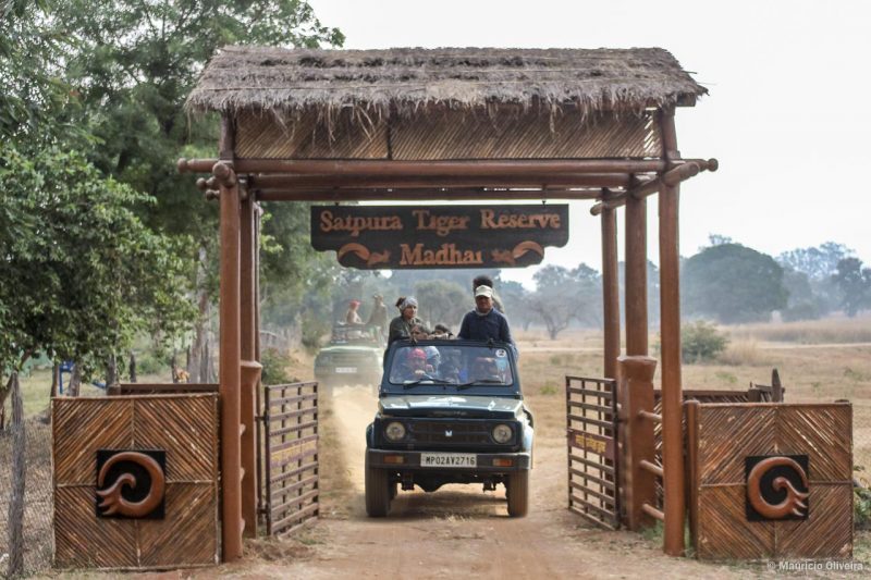 Parque Nacional de Satpura - Experiências selvagens e safári na Índia