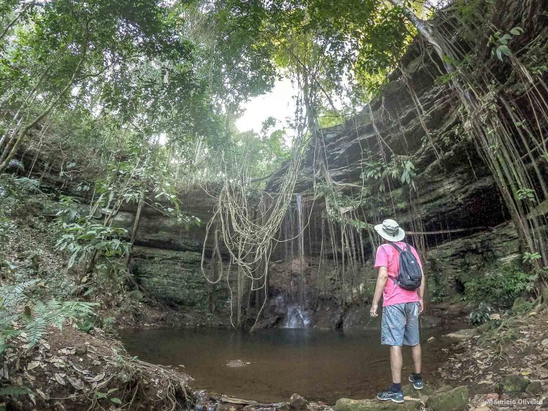 Estância Garra - Banho de Floresta em Taquaruçu