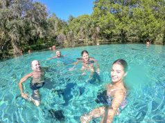 Essas Springs na Flórida vão te deixar louco(a)!