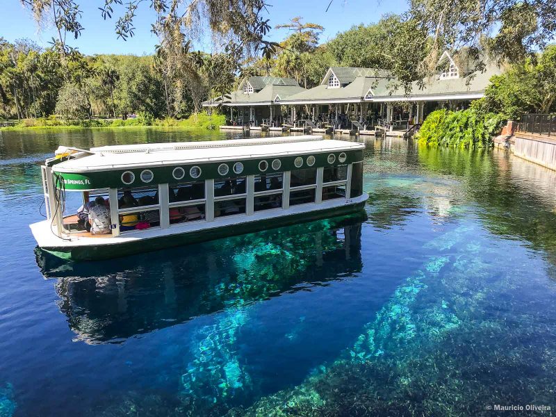 Springs da Flórida: 10+ Piscinas naturais lindas pertinho de Orlando