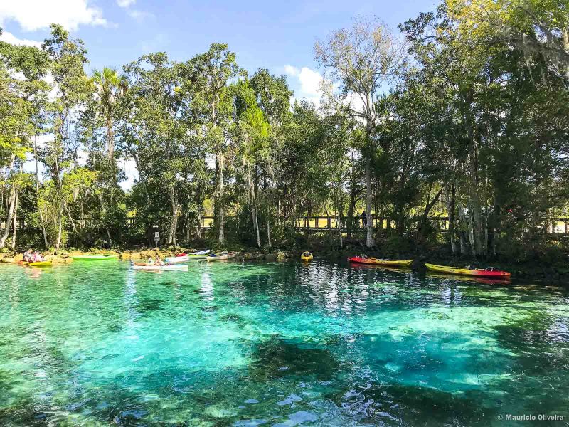 Three Sisters Spring - Crystal River